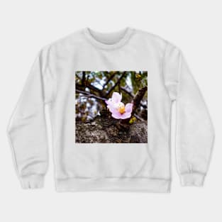 Photography - Old and new Crewneck Sweatshirt